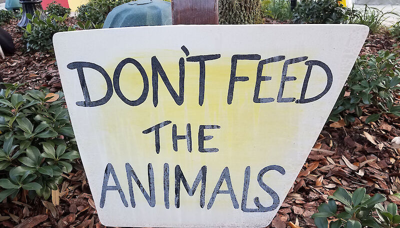 Don't Feed the Animals image